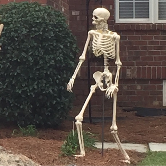 Meet your Posher, Greg - Picture 1 of 1